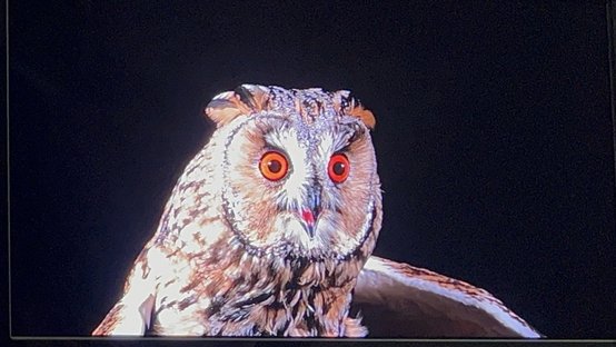 Mini LED Backlight Mini LED Backlight